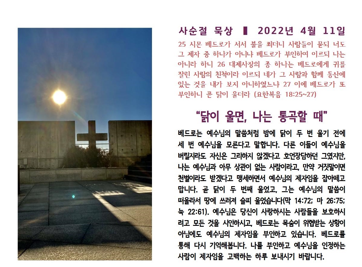 20220411.jpg