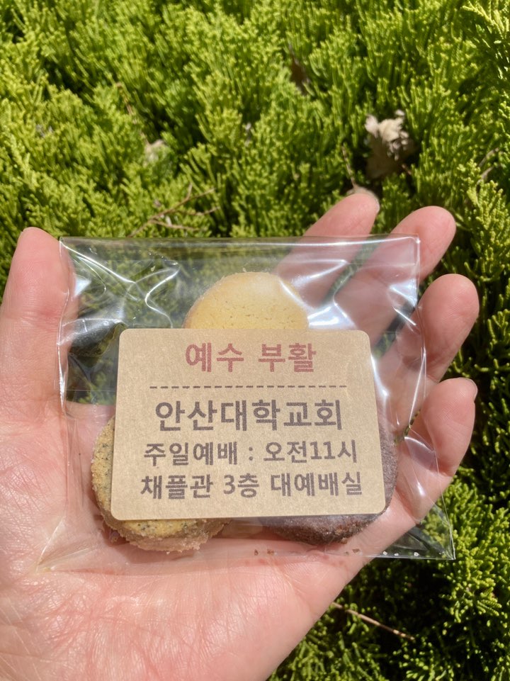 KakaoTalk_20230413_143746295.jpg